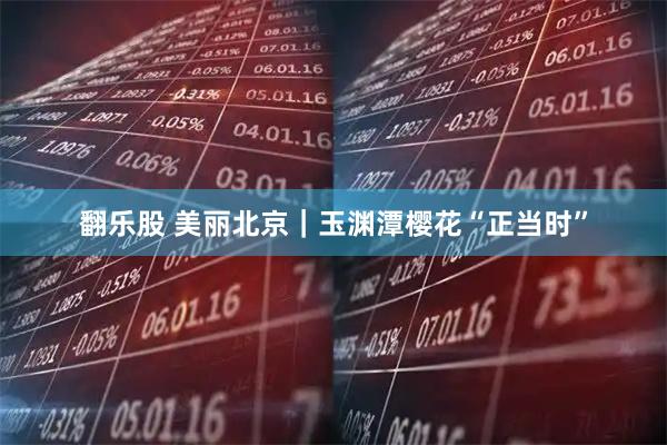 翻乐股 美丽北京｜玉渊潭樱花“正当时”