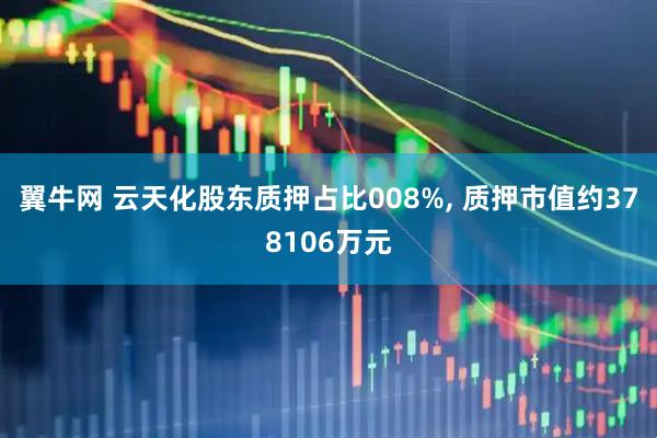 翼牛网 云天化股东质押占比008%, 质押市值约378106万元