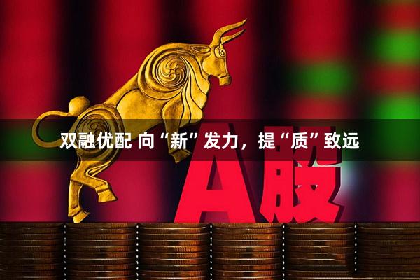 双融优配 向“新”发力，提“质”致远