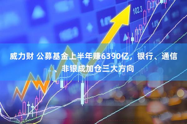 威力财 公募基金上半年赚6390亿，银行、通信、非银成加仓三大方向